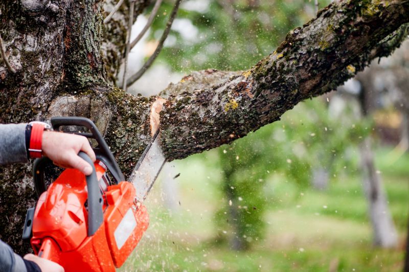 Tree Care Companies
