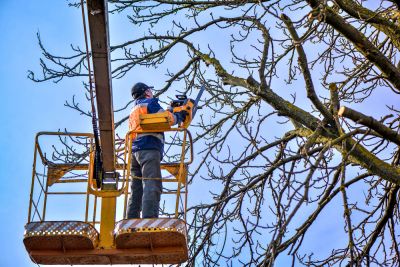 Prevent Accidents and Property Damage!